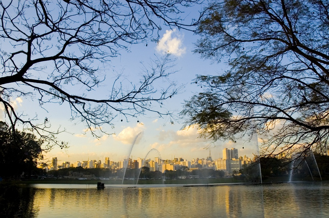 Imagem do Journal MBRAS